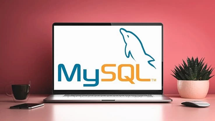 The Complete MySQL Bootcamp: Learn SQL Beginner to Expert