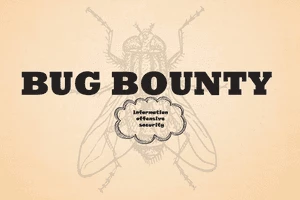 Bug bounty Hunting Information Security