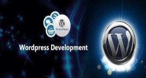 WordPress Basics for Beginners