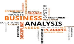 CBAP : Business Analysis Professional