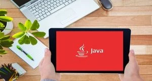 Java Programming Language