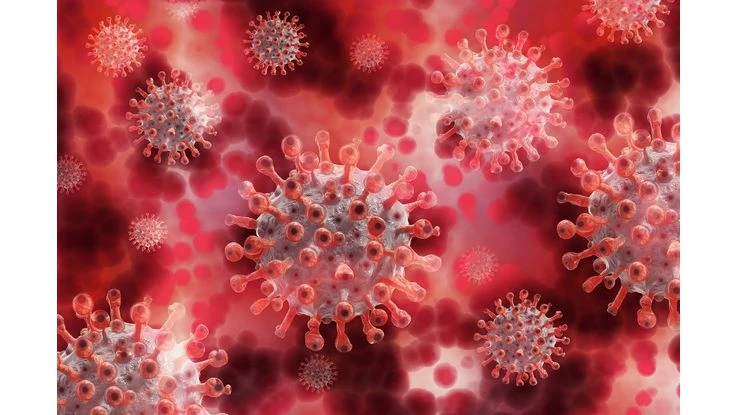 Datascience:COVID-19 Pneumonia Classification(Deep learning)
