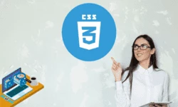 The Ultimate CSS 3 Bootcamp
