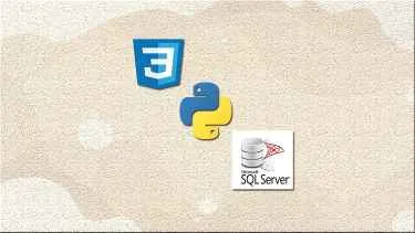 Complete CSS, Python and Microsoft SQL Course from scratch