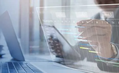 Mastering Microsoft Project for Professional MS Project Plan
