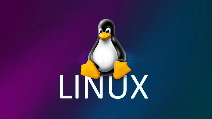 Basics of Linux Command Line 2024