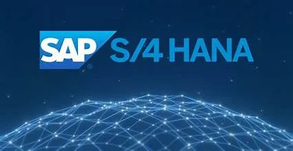 S/4 HANA Flexi Number Range- CPF-Delta Function/Feature