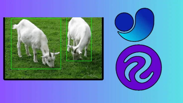 Object Detection and Tracking Using YOLOv11