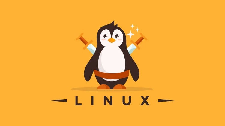 Linux Command Line Terminal Basic for Beginners (In Hindi)