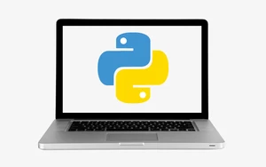 Python for Beginners : A Python Mega Course with 10 Projects