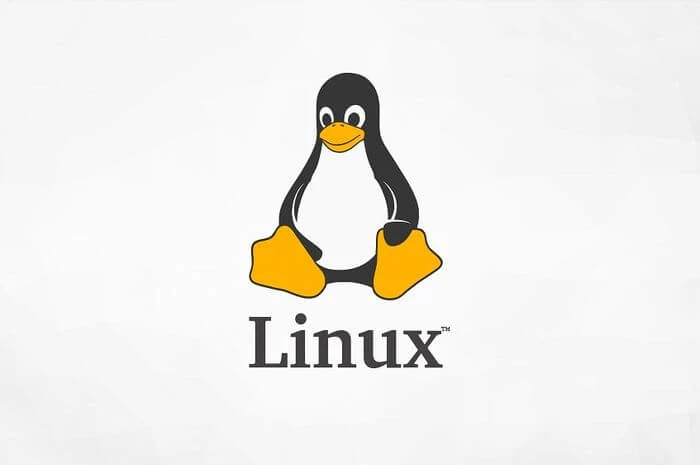 The Complete Linux Course: Beginner to Power User!