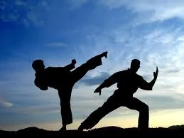 Martial Arts for Beginners
