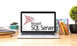 Complete Microsoft SQL Server from Scratch for Beginners to Expert